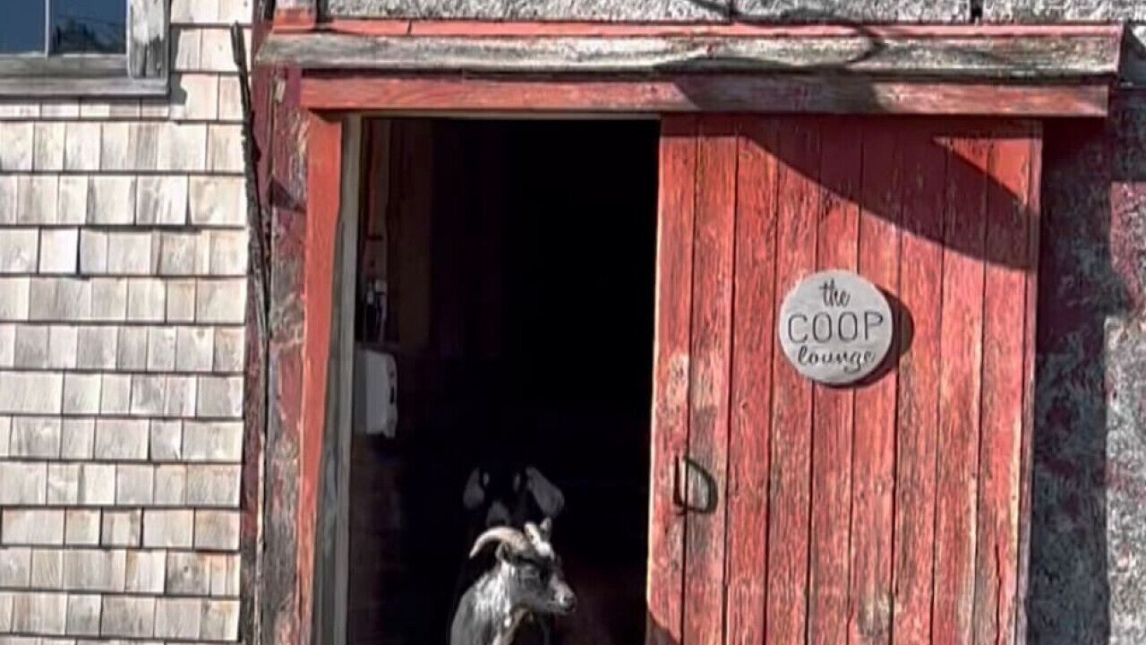 Photo of Others in Union