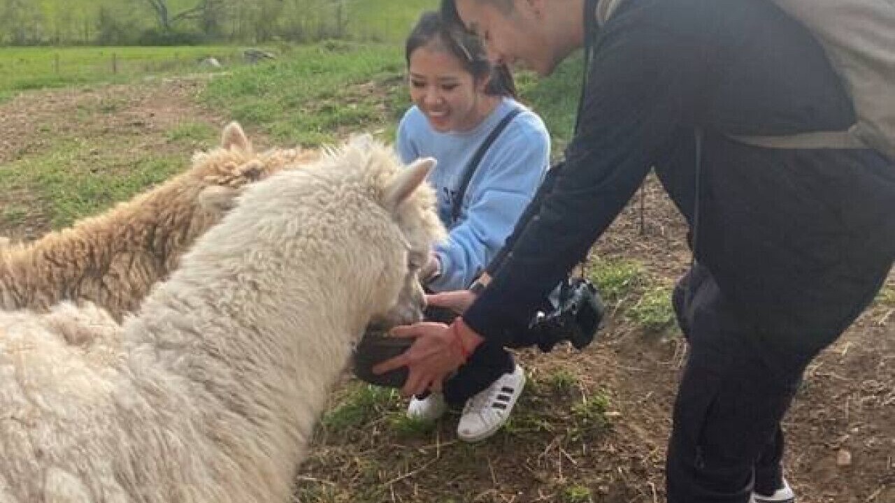 Photo of Others in Union