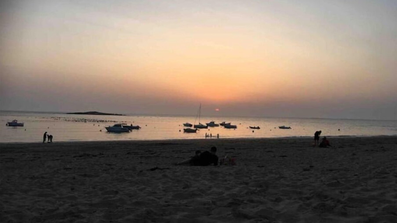 Photo of Others in Ferel