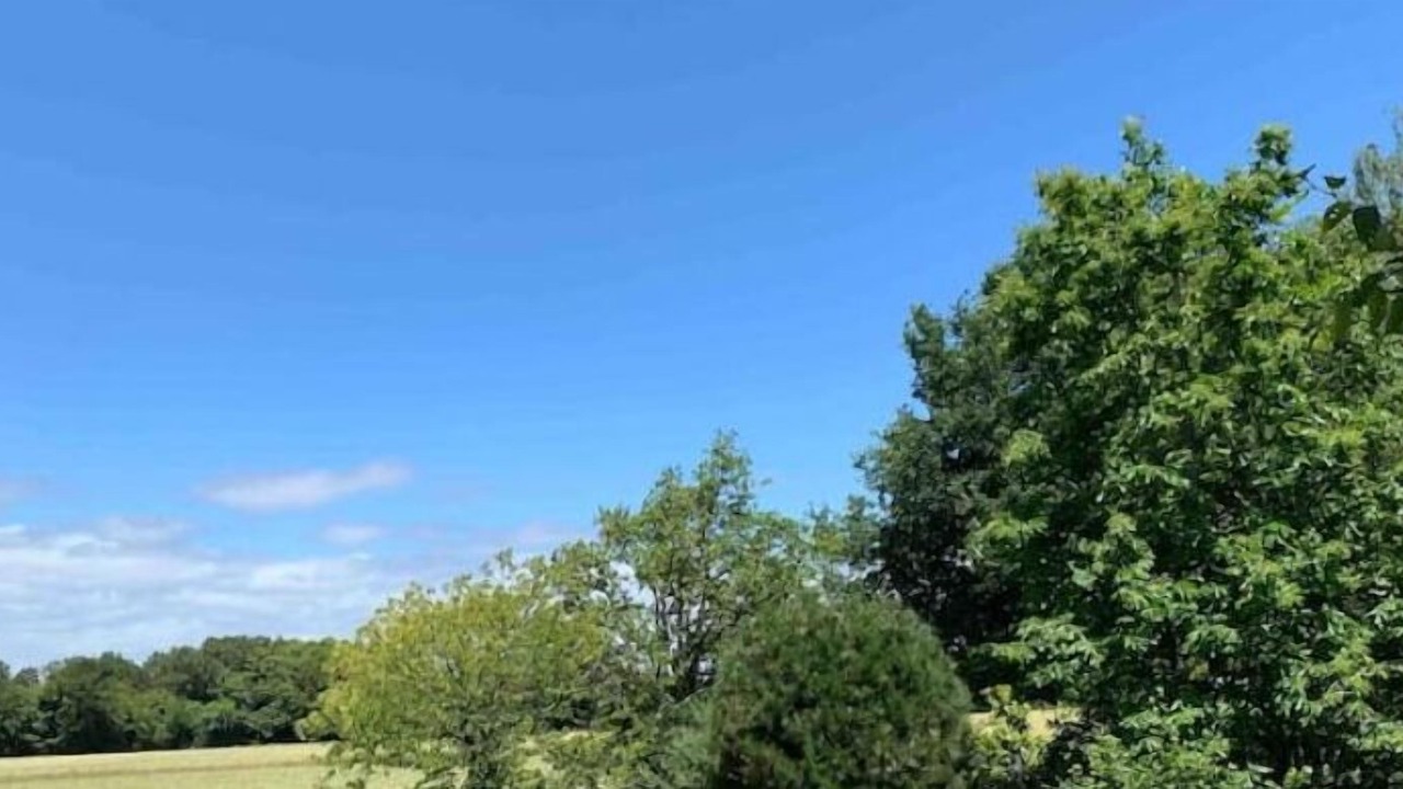 Photo of Outdoor in Ferel