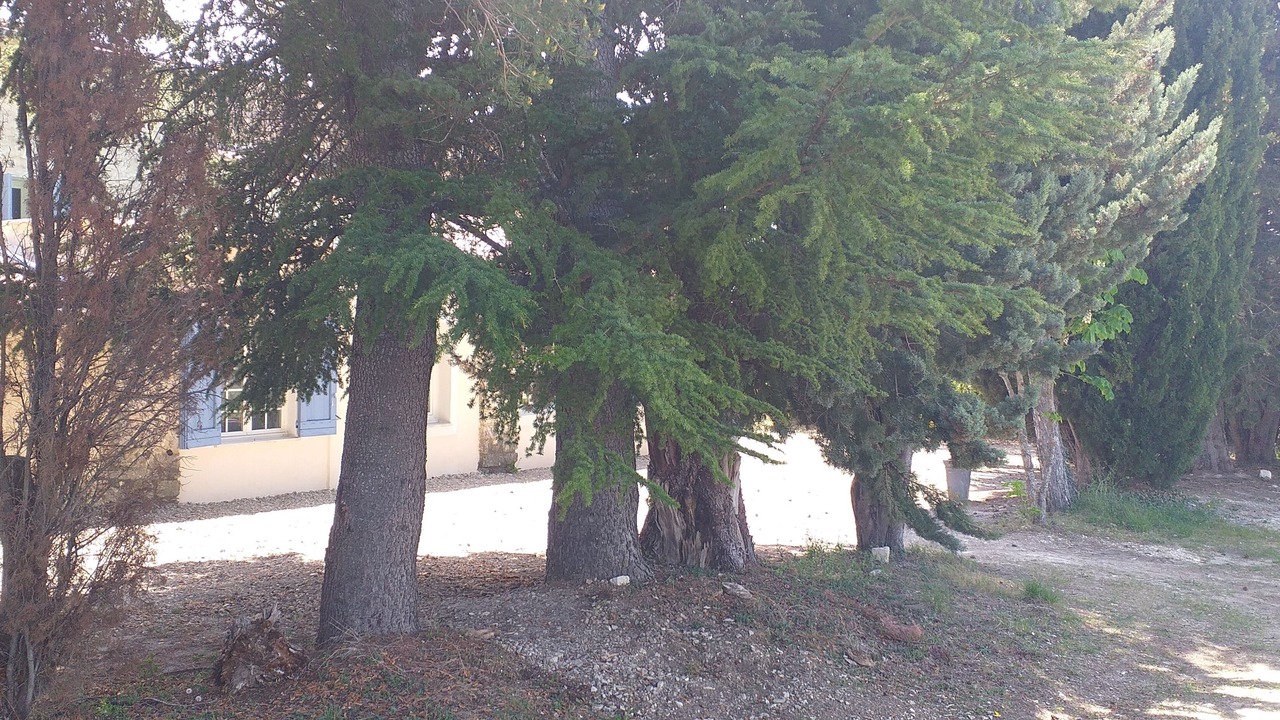 Photo of Outdoor in Saint-Michel-l'Observatoire