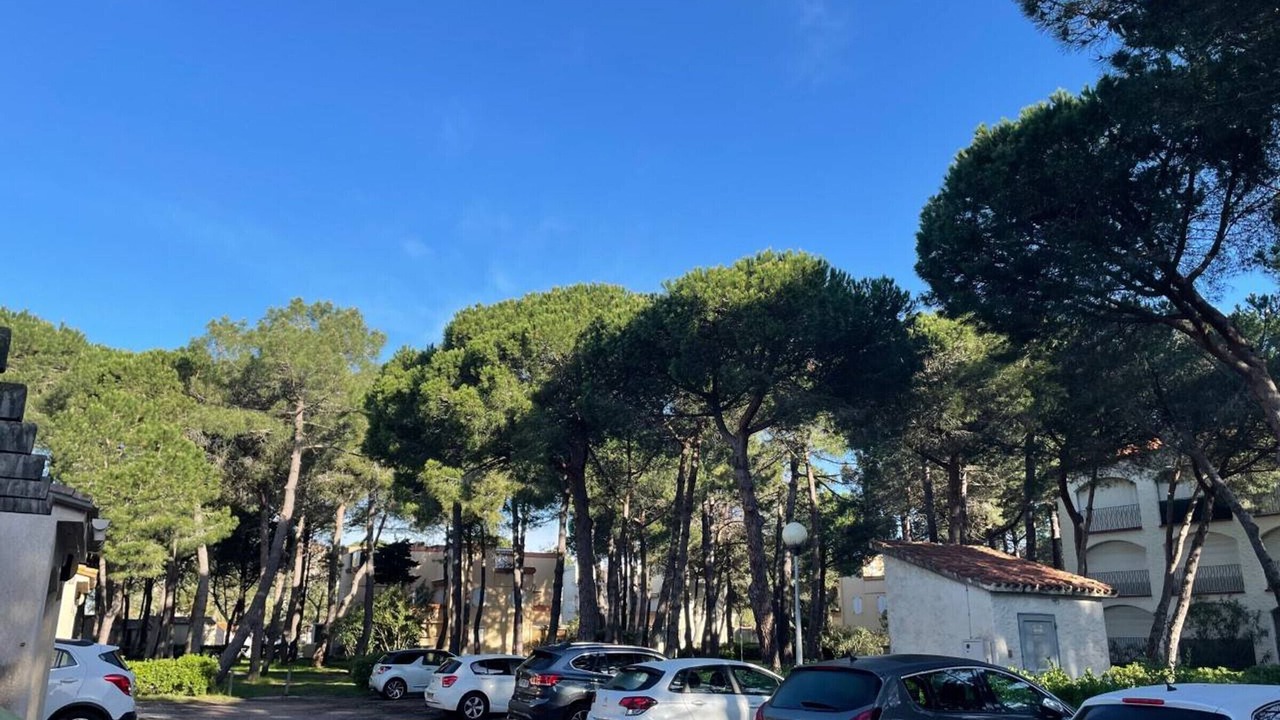 Photo of Outdoor in Argeles Plage