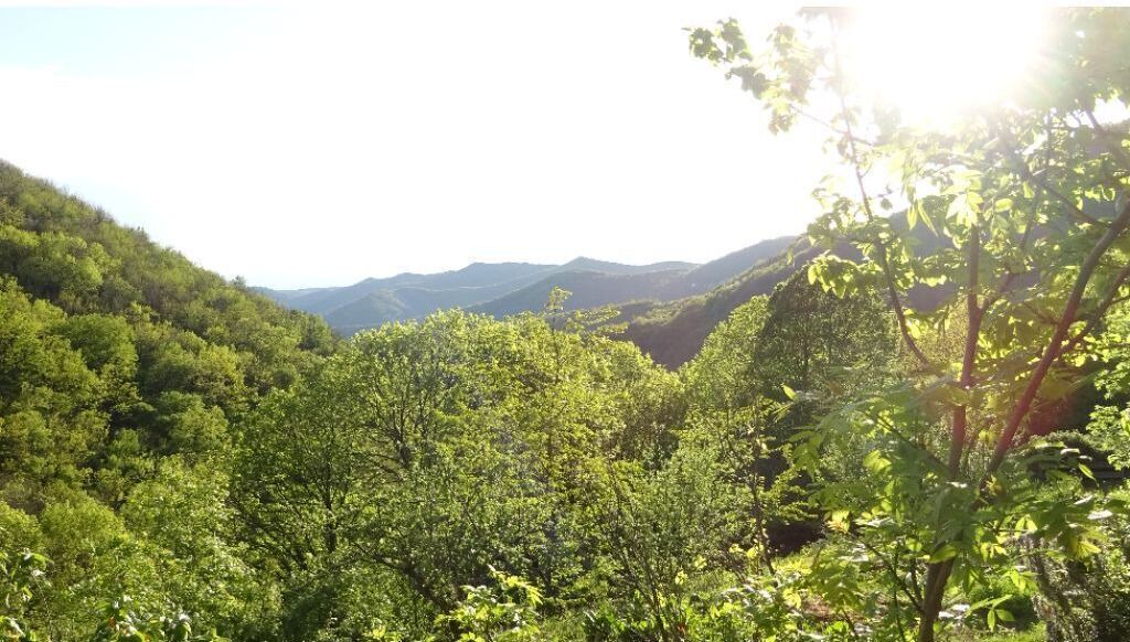 Photo of Outdoor in Aumessas