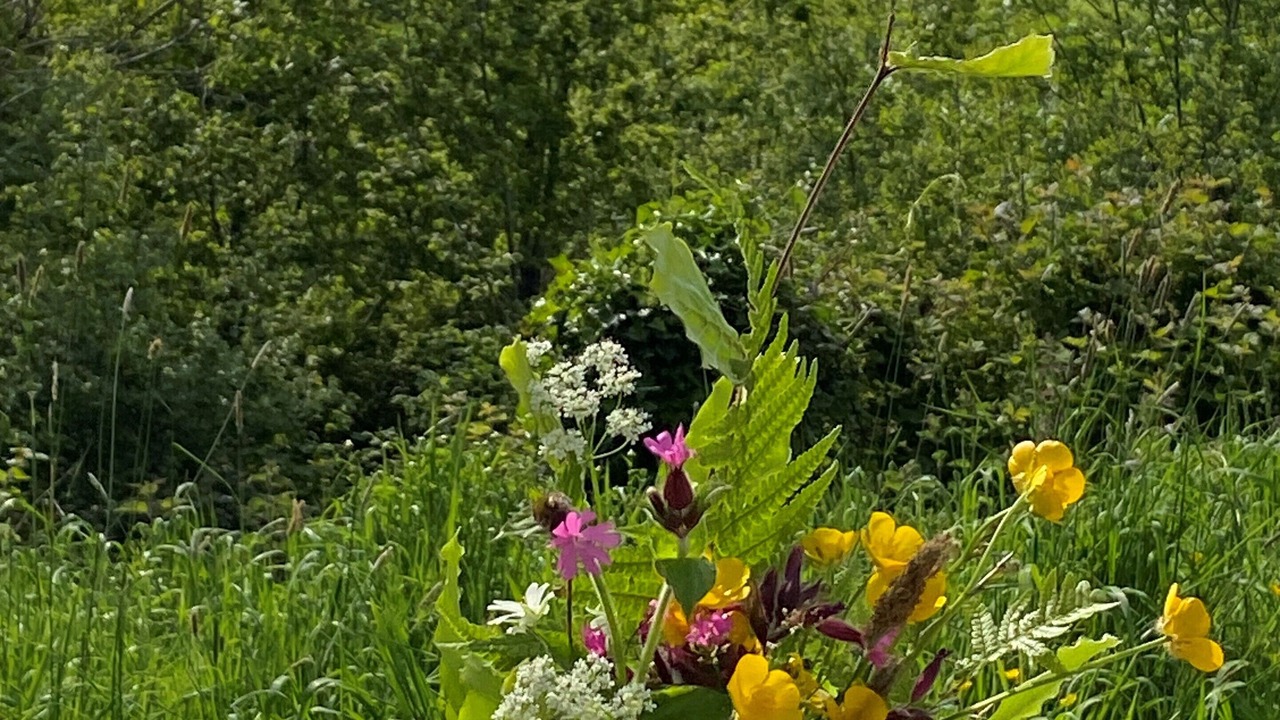 Photo of Others in Bridport