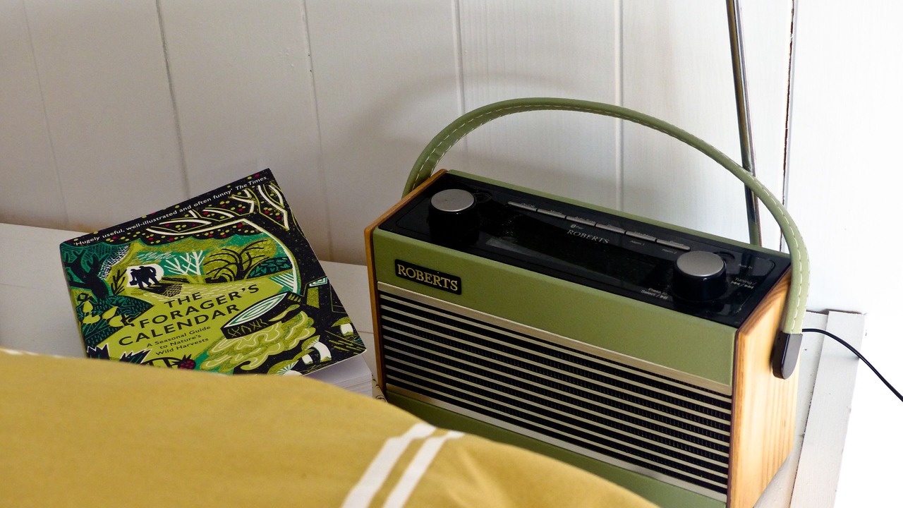 Photo of Others in Bridport