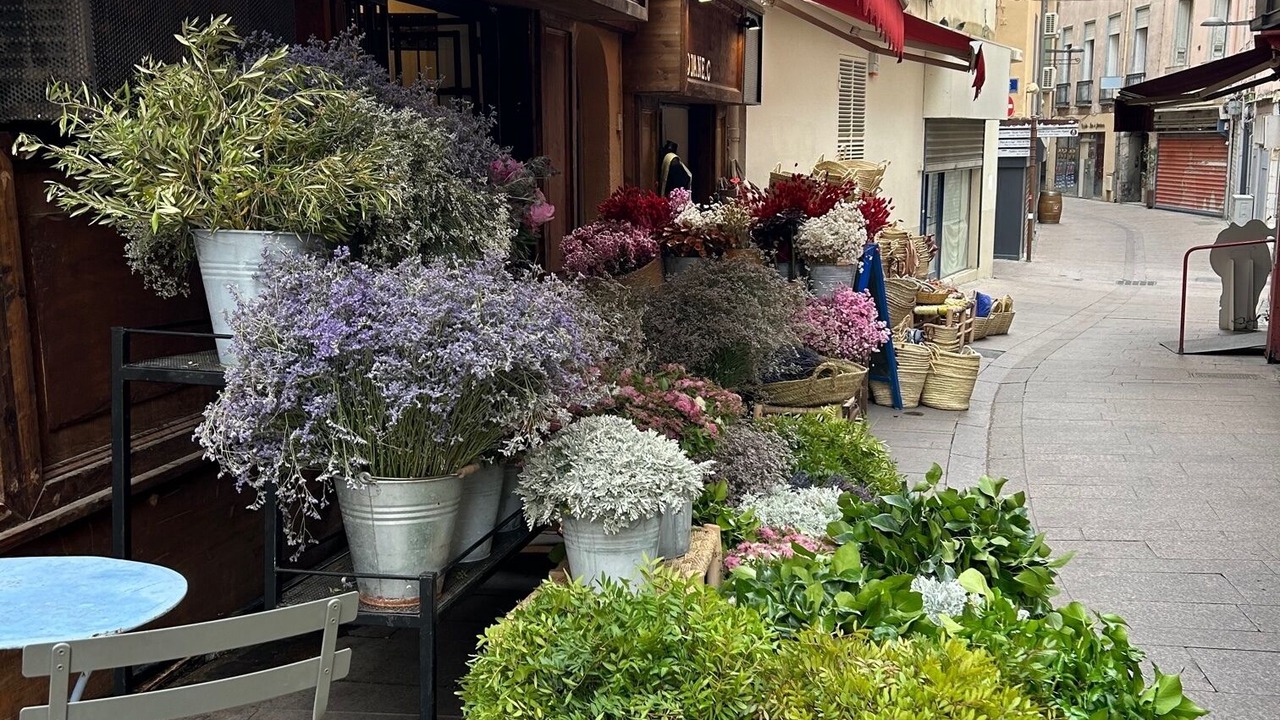 Photo of Outdoor in Saint-Mathieu