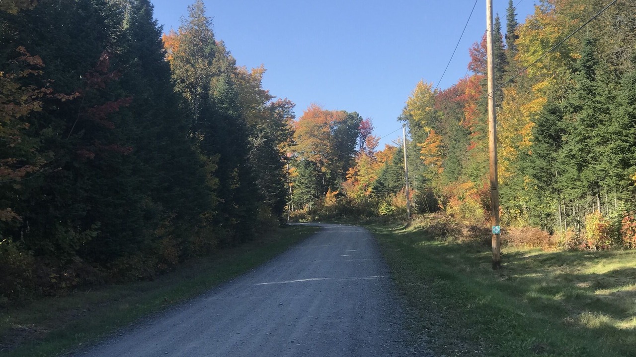 Photo of Outdoor in Castle Hill