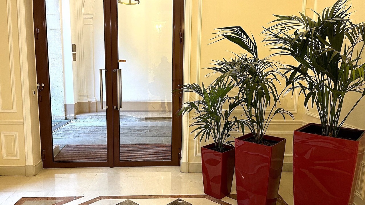 Photo of Others in Champs-Elysees