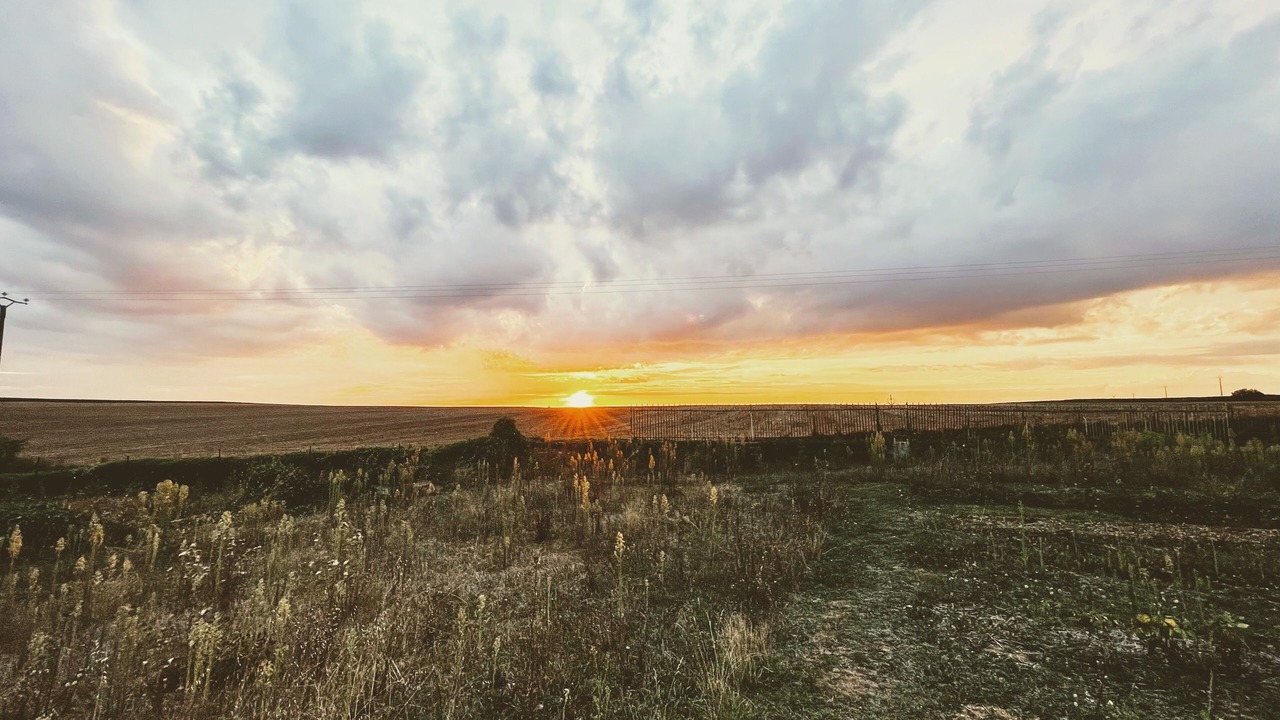 Photo of Outdoor in La Creche