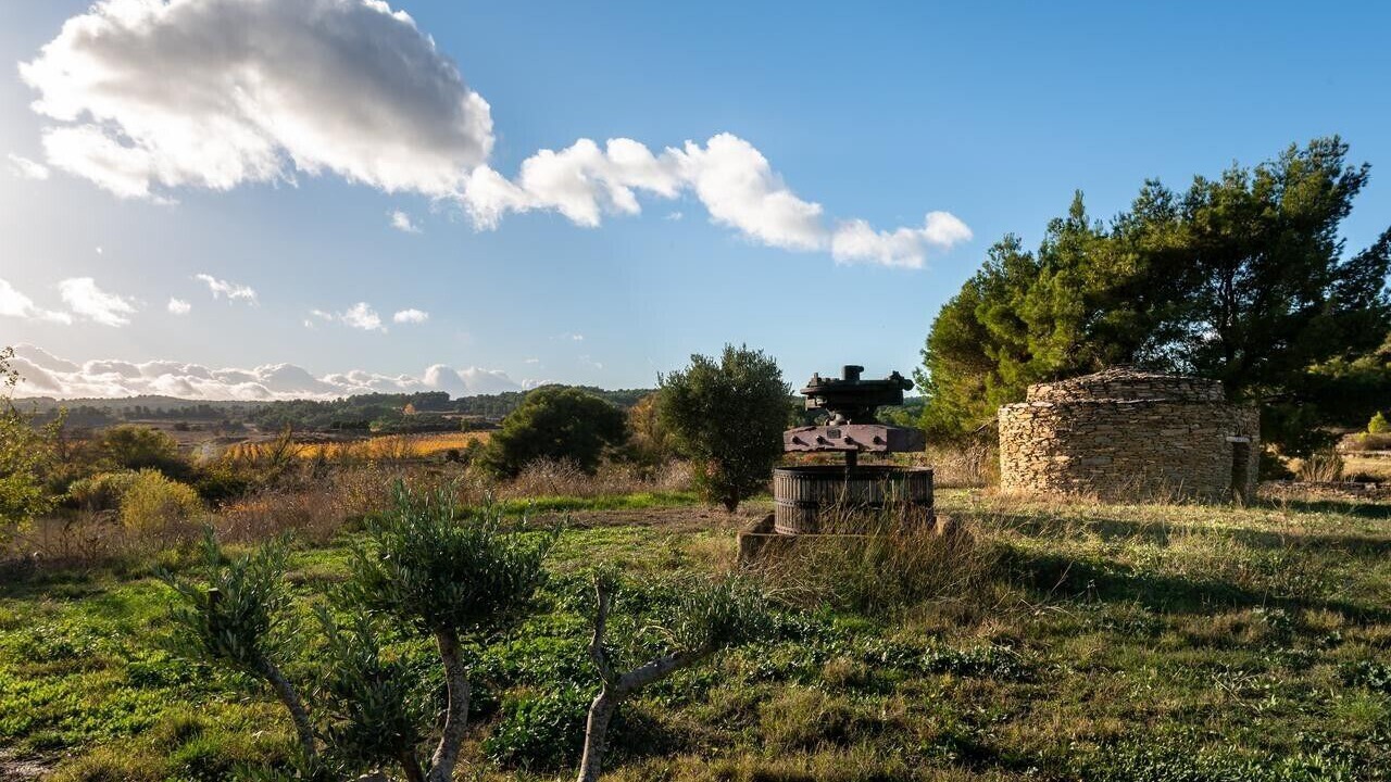 Photo of Others in Laure-Minervois