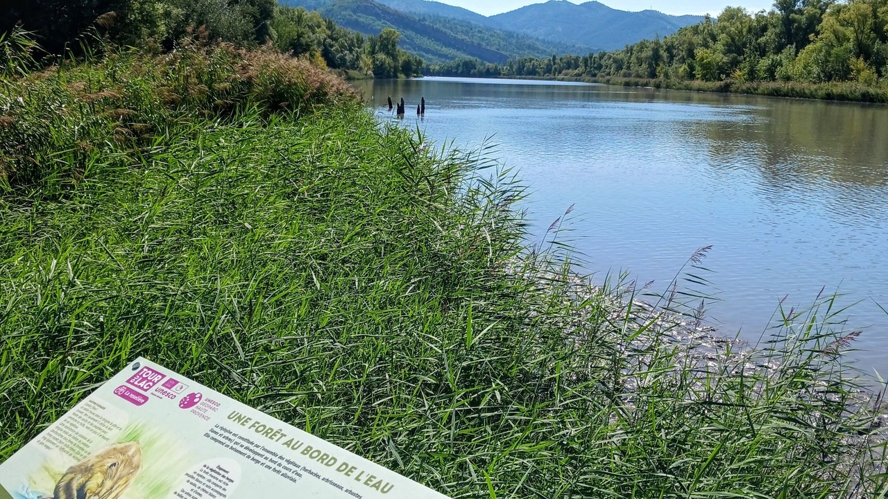 Photo of Outdoor in Chateau-Arnoux-Saint-Auban