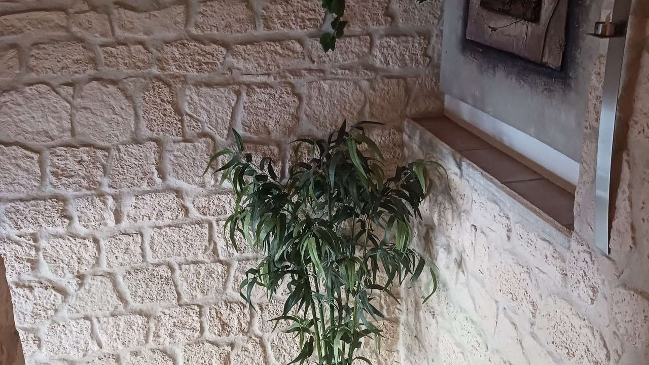 Photo of Others in Chateau-Arnoux-Saint-Auban