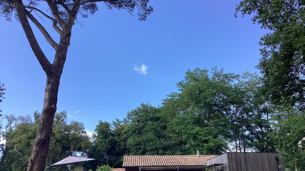 Photo of Outdoor in Saint-Julien-en-Born