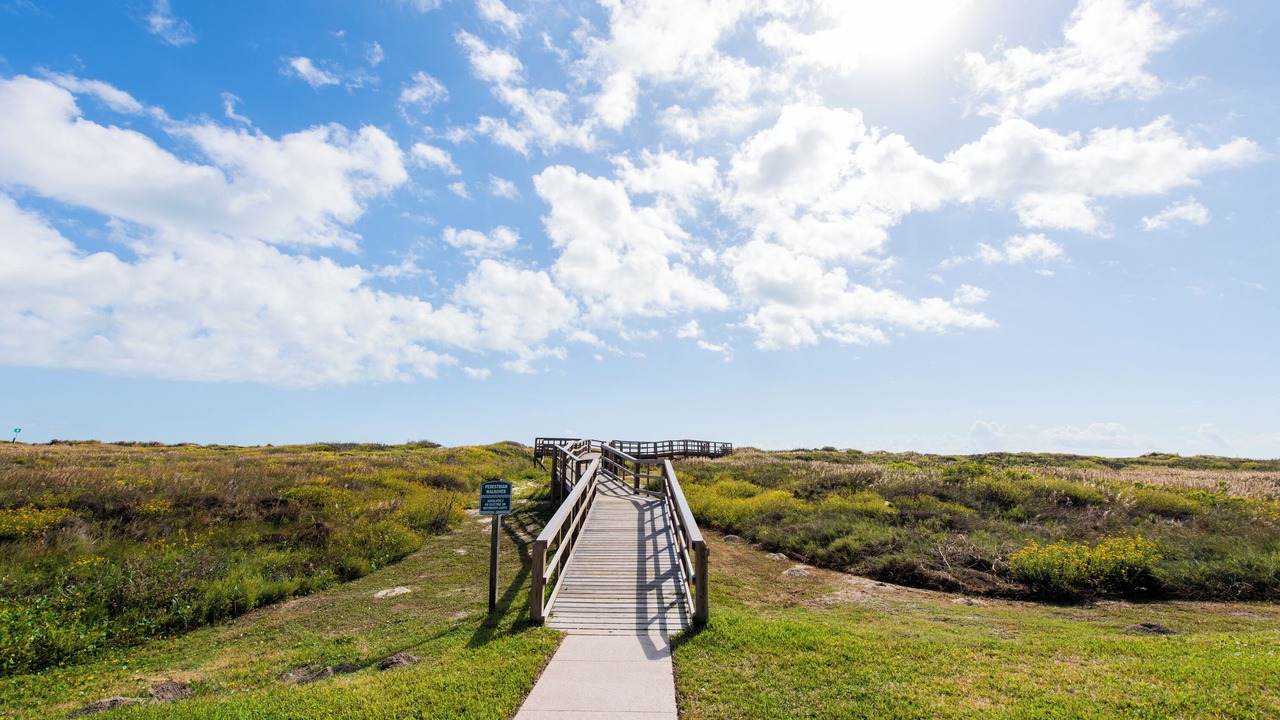 Photo of Others in Shibui Sands