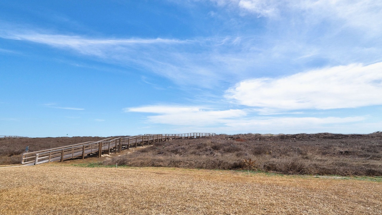 Photo of Others in Shibui Sands
