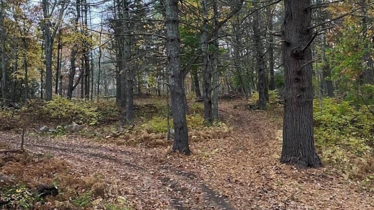 Photo of Others in Uxbridge