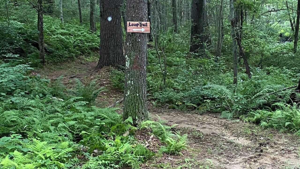 Photo of Others in Uxbridge