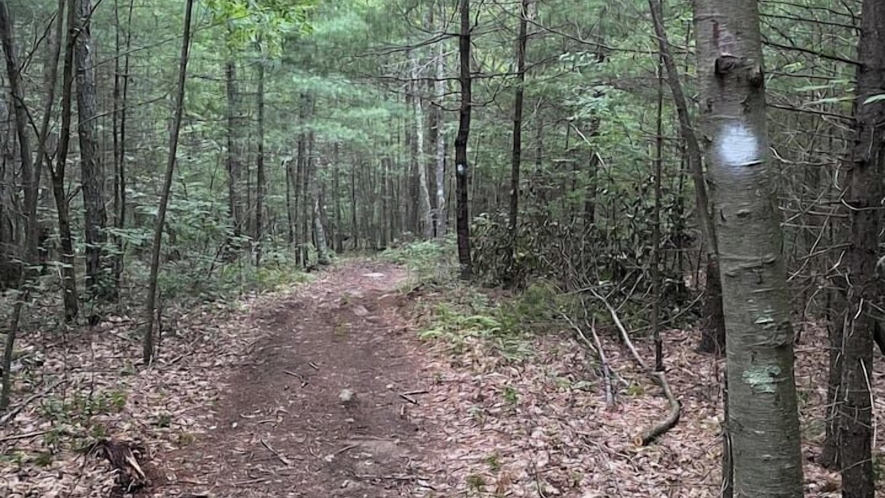 Photo of Others in Uxbridge