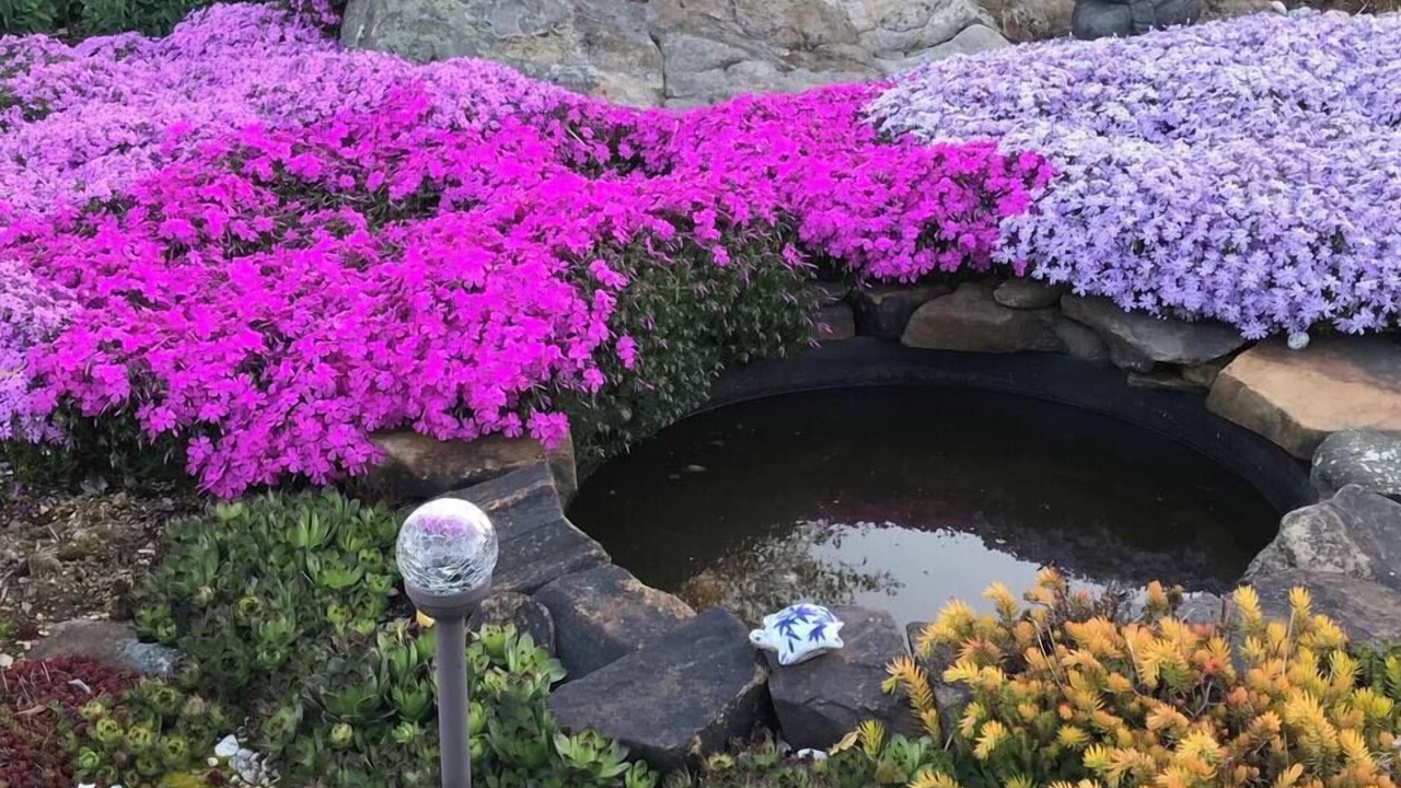 Photo of Outdoor in Uxbridge