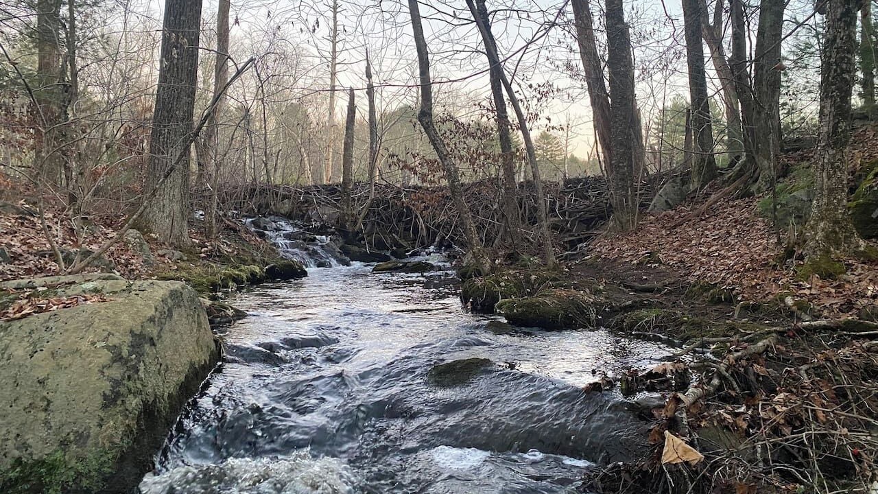 Photo of Others in Uxbridge