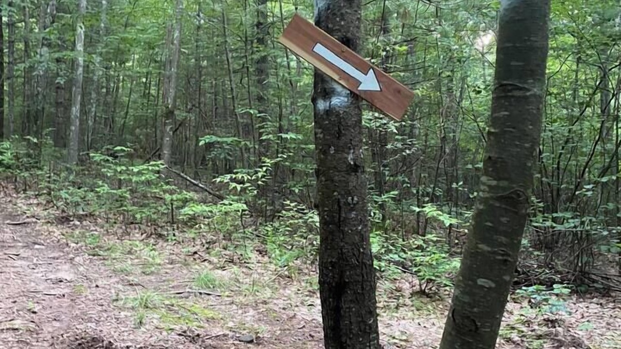 Photo of Others in Uxbridge