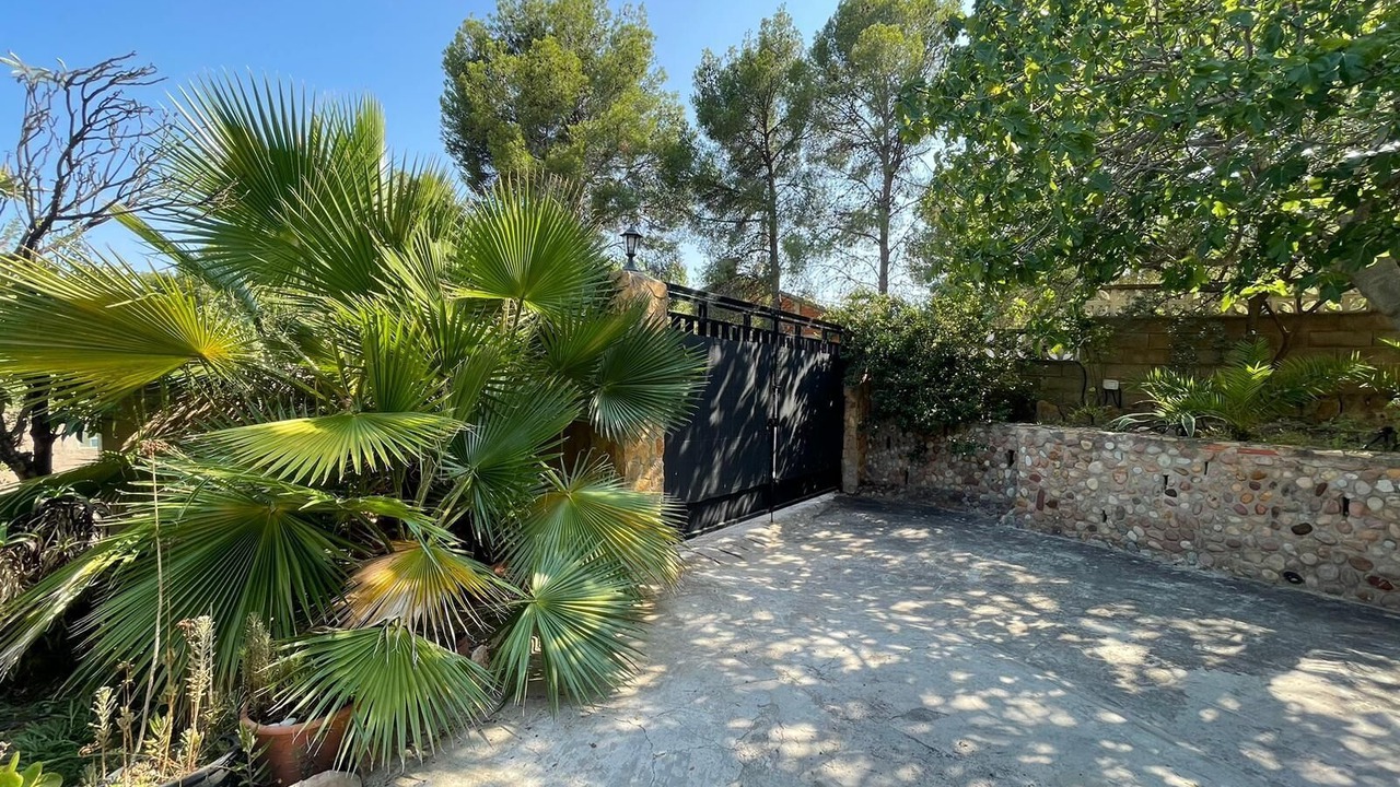 Photo of Outdoor in Torres Torres