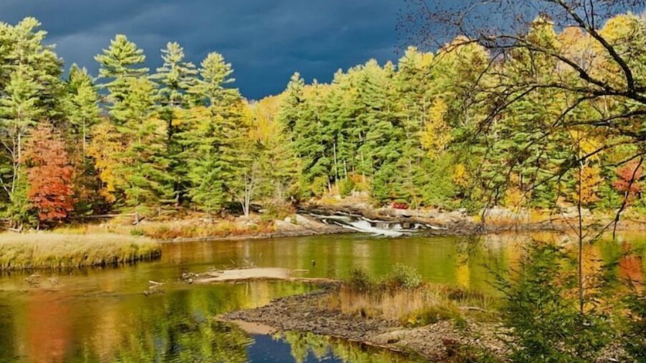 Photo of Outdoor in Kinmount