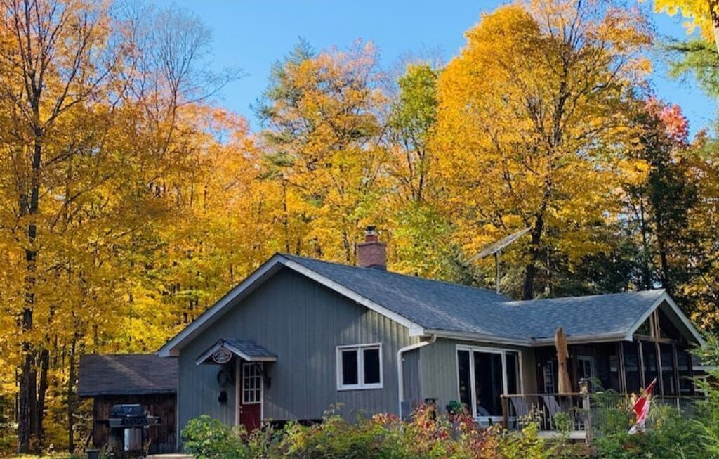 Photo of Outdoor in Kinmount