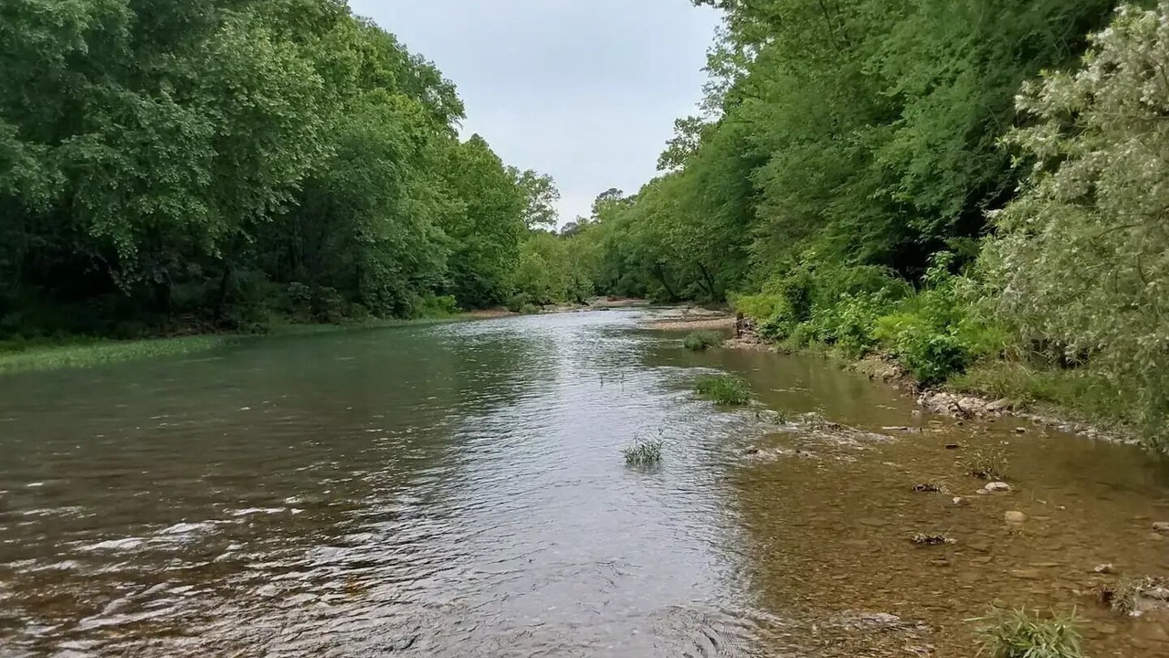 Photo of Others in Caddo Gap