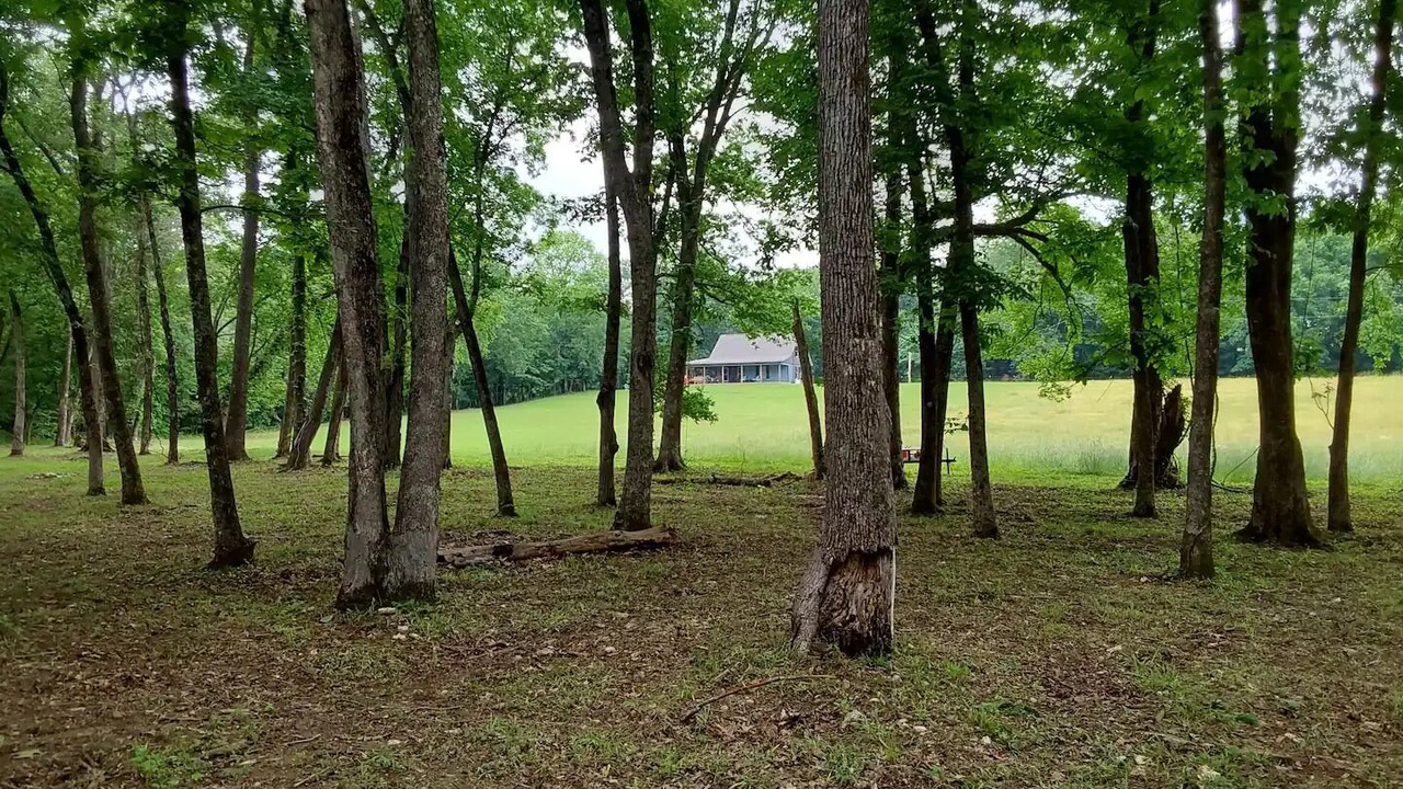 Photo of Outdoor in Caddo Gap