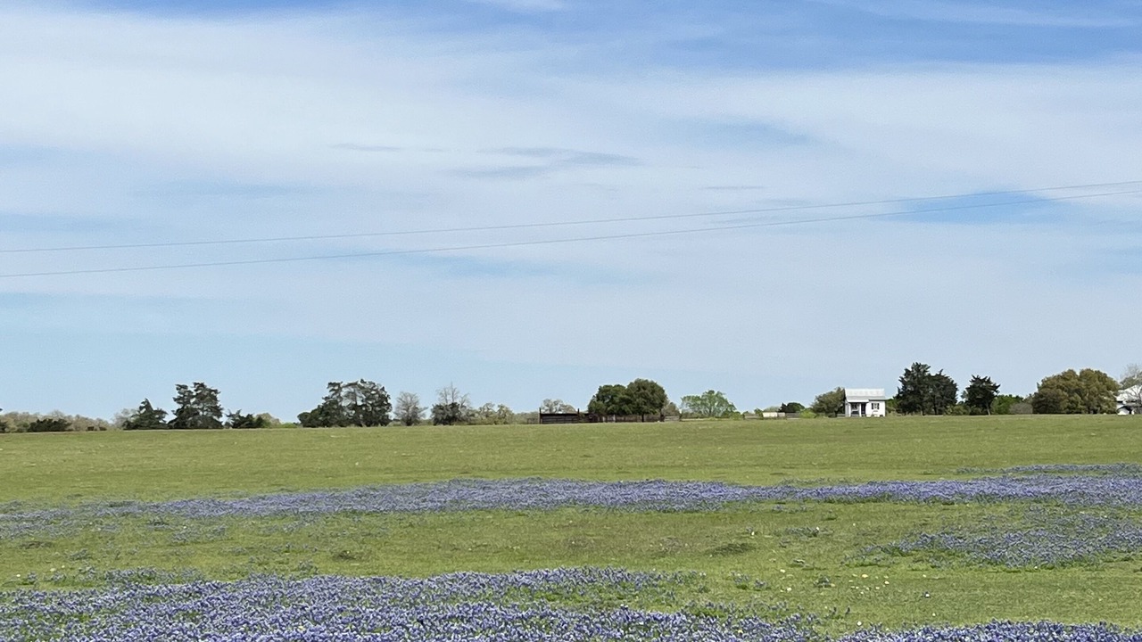 Photo of Outdoor in Flatonia