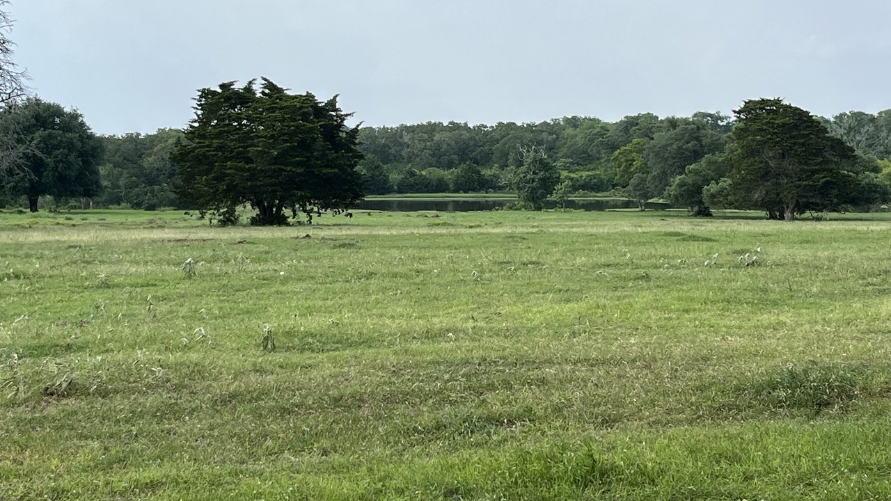 Photo of Others in Flatonia