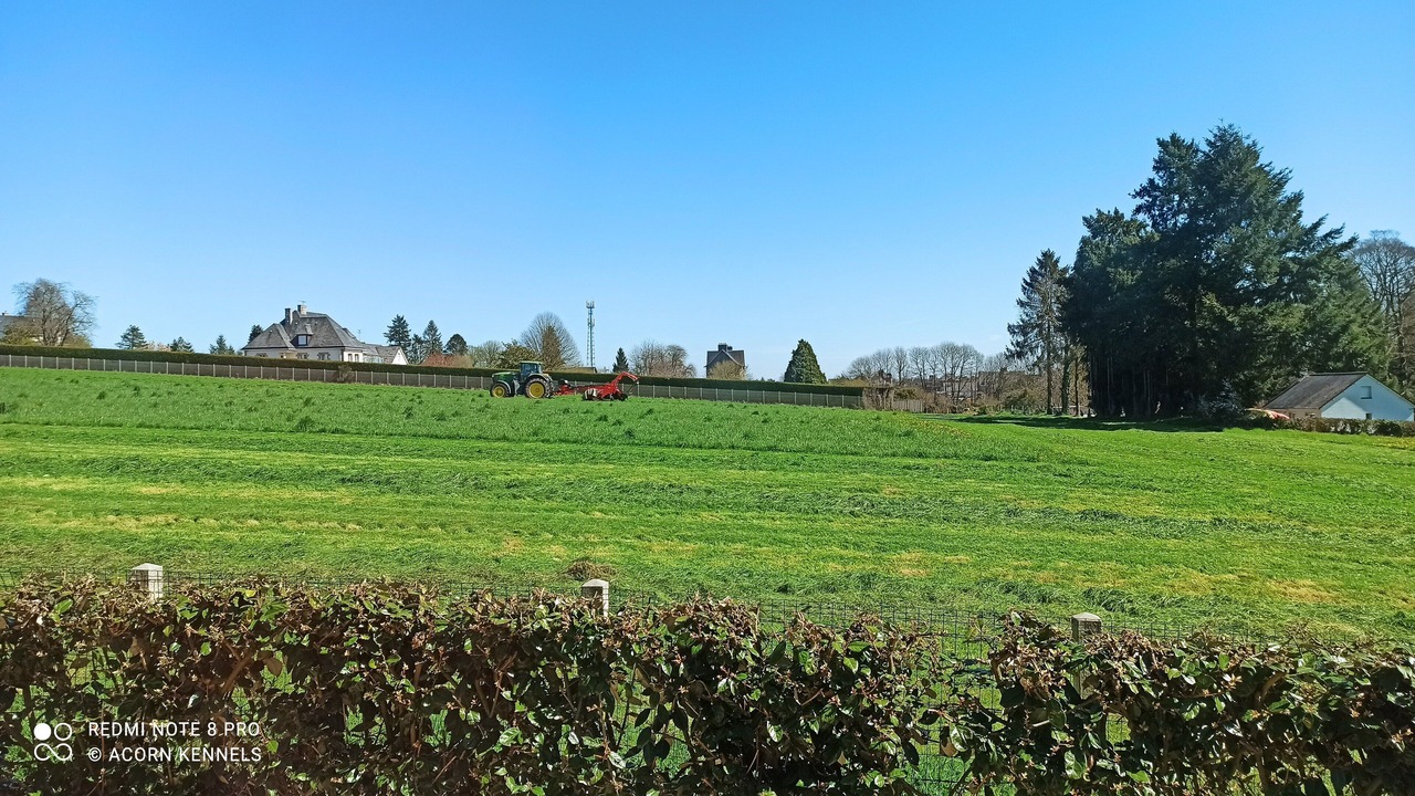 Photo of Others in Fougerolles-du-Plessis