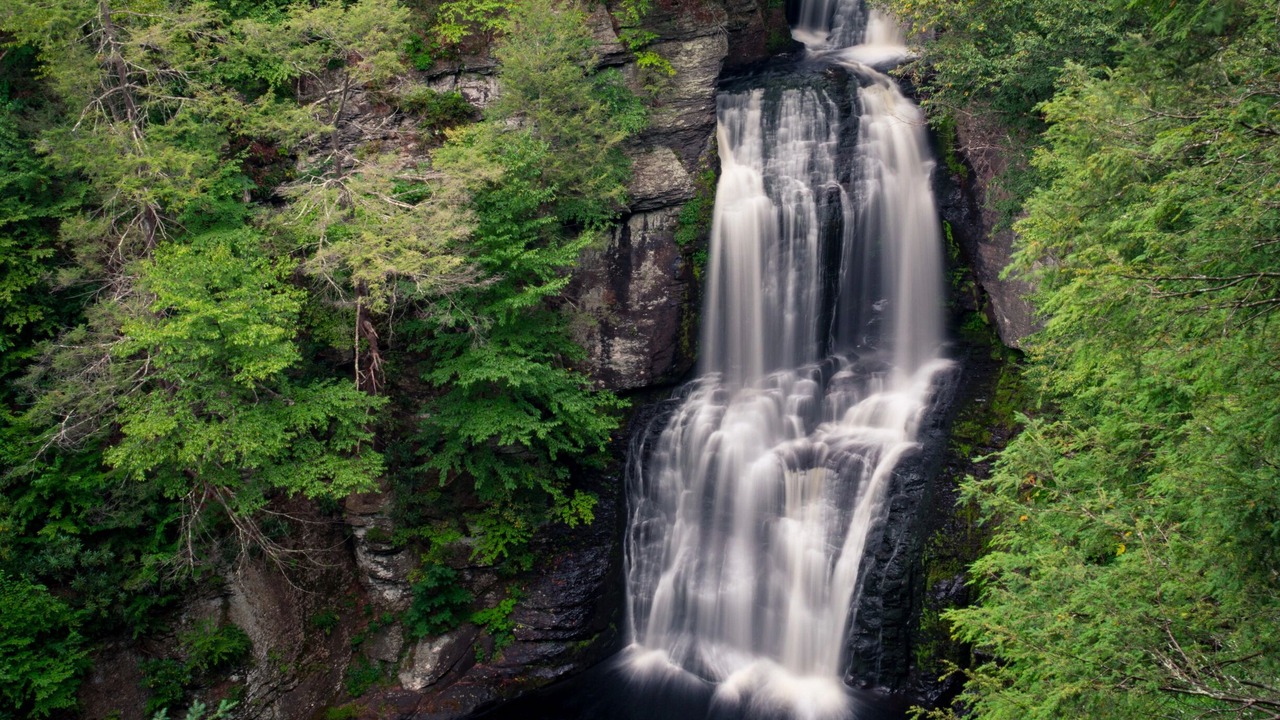 Photo of Outdoor in Bushkill