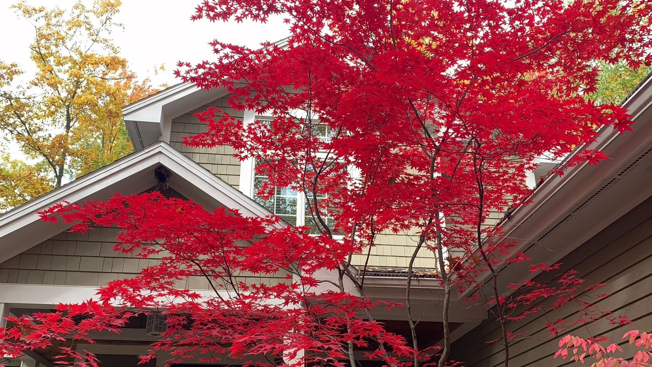 Photo of Outdoor in Glen Arbor