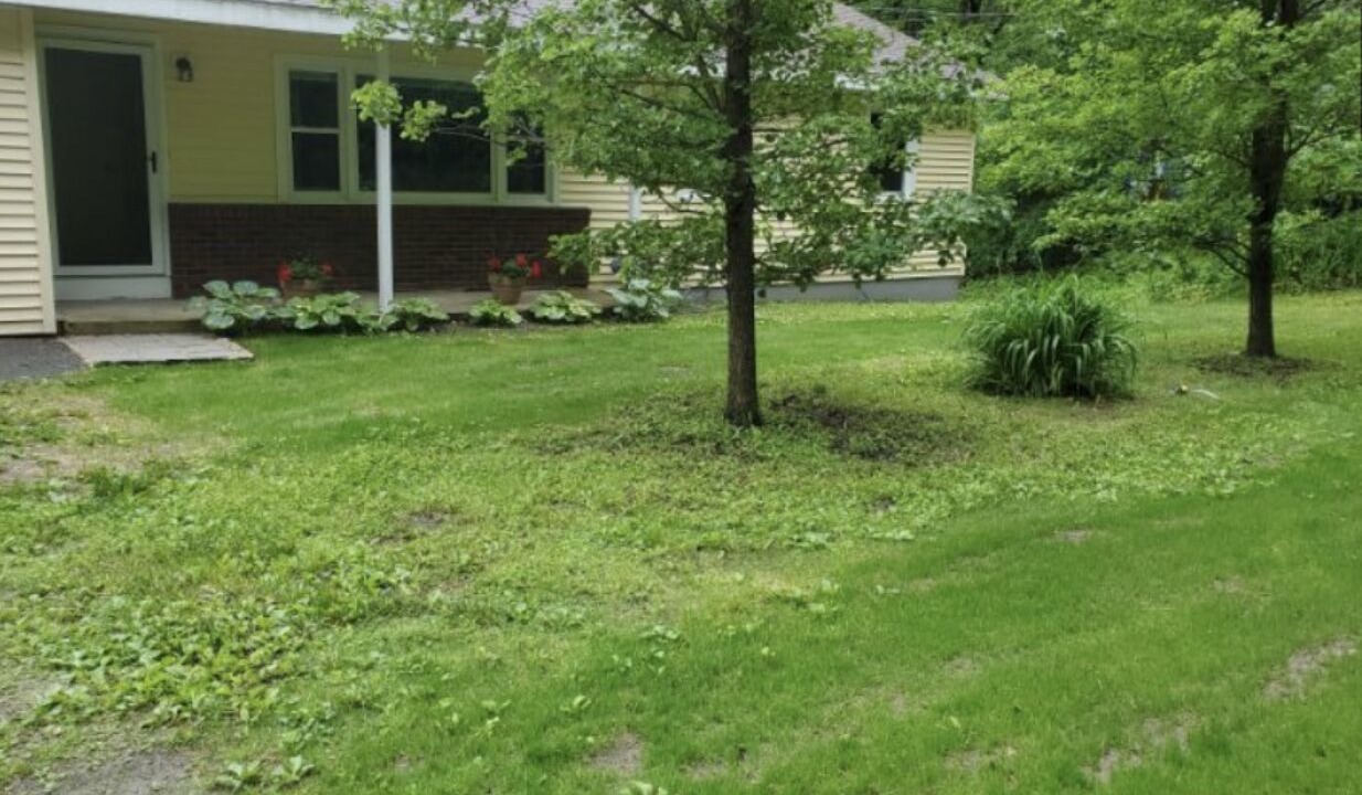 Photo of Outdoor in Lenox