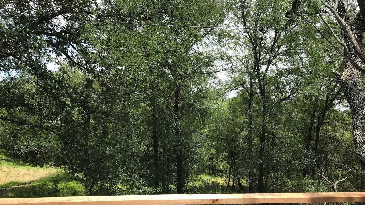 Photo of Outdoor in Lockhart