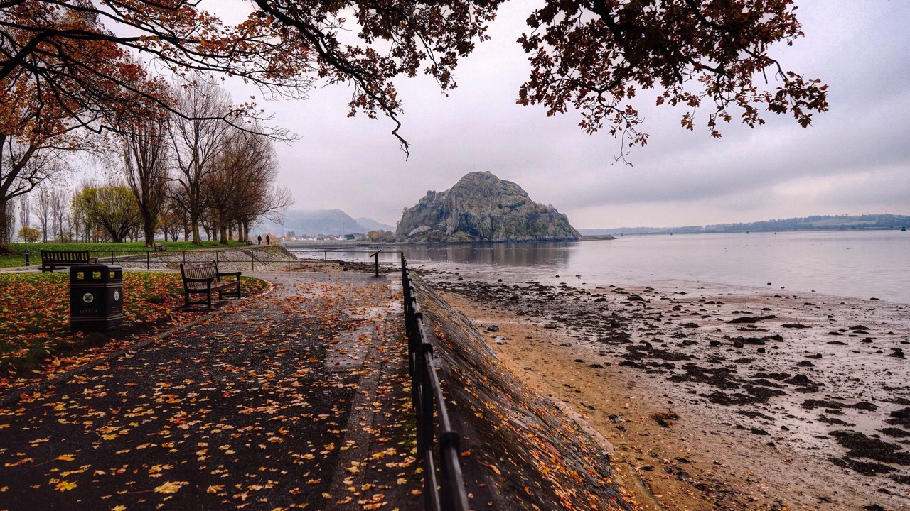 Photo of Others in Dumbarton