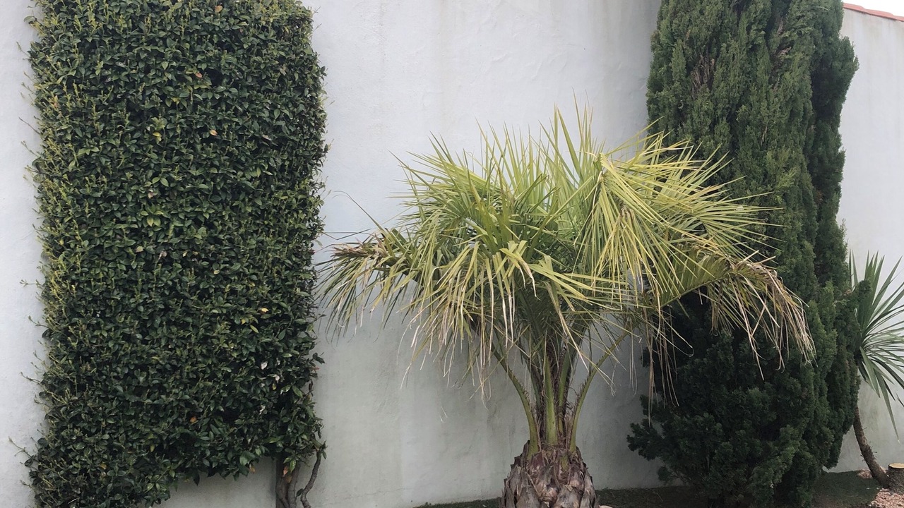 Photo of Outdoor in L'Epine