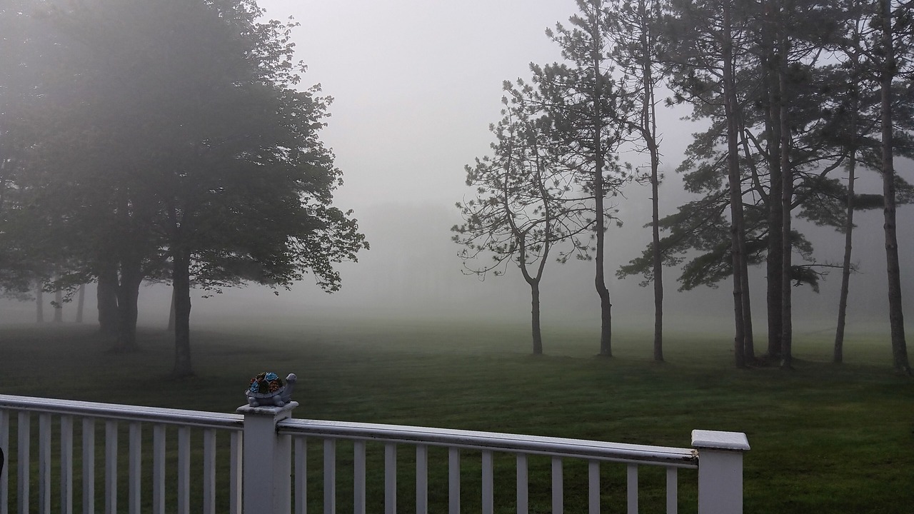 Photo of Outdoor in Brunswick