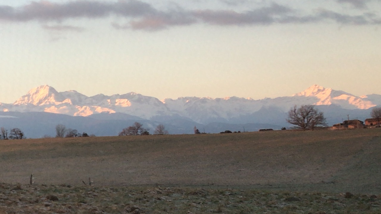 Photo of Others in Begole