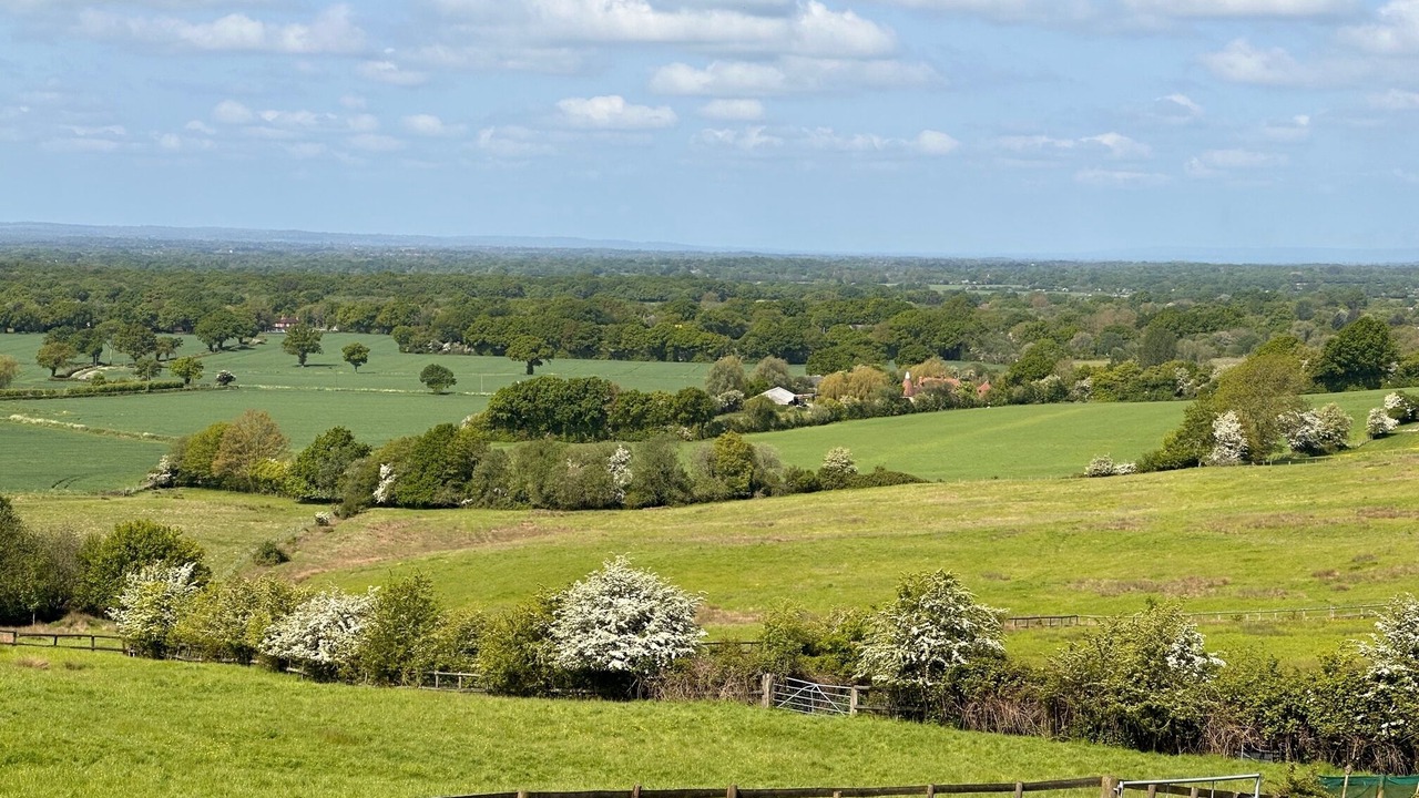 Photo of Others in Ashford