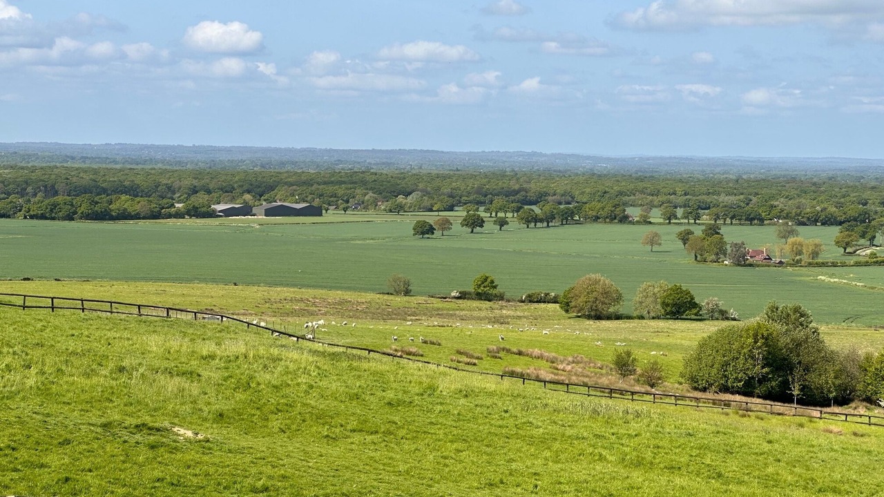 Photo of Outdoor in Ashford