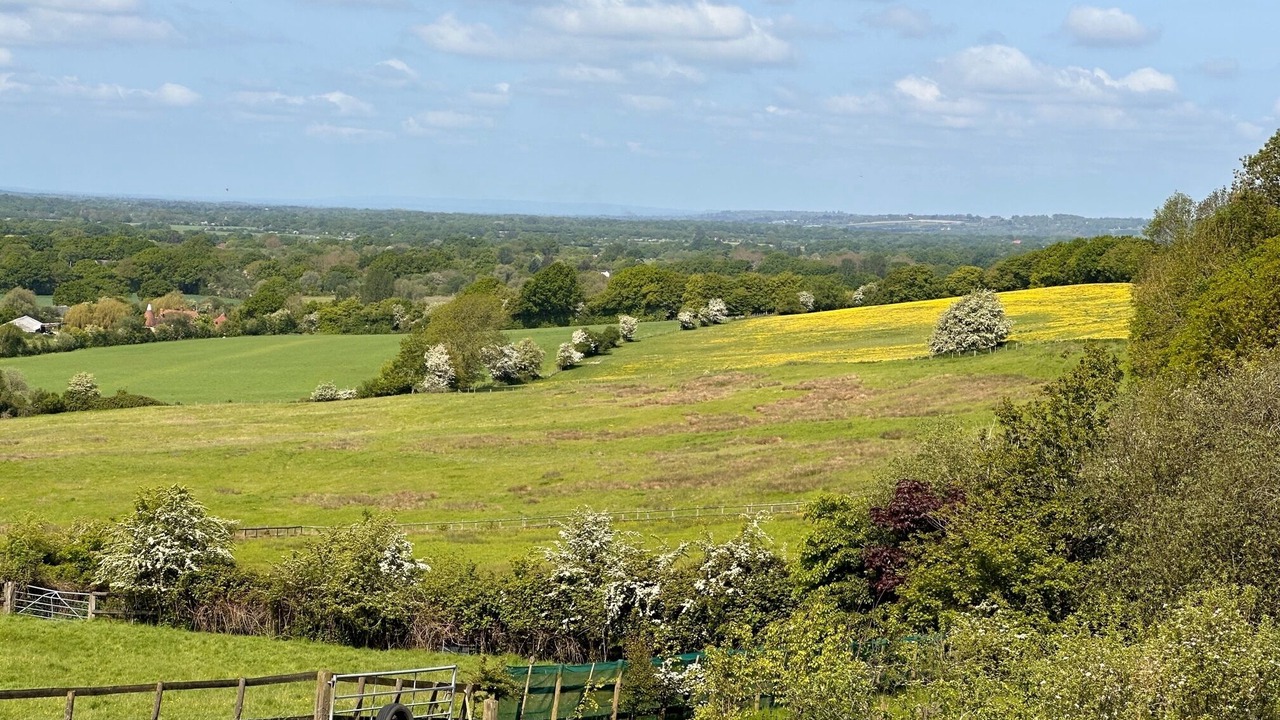 Photo of Outdoor in Ashford