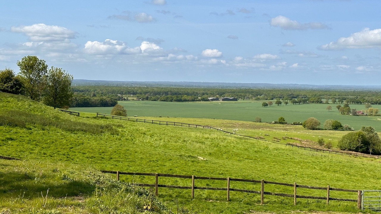 Photo of Others in Ashford