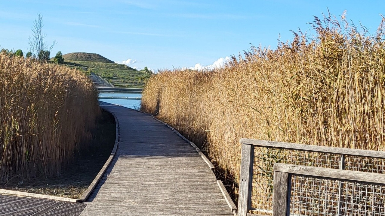 Photo of Others in Monteux