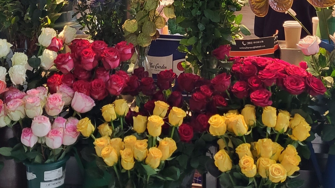 Photo of Outdoor in Monteux