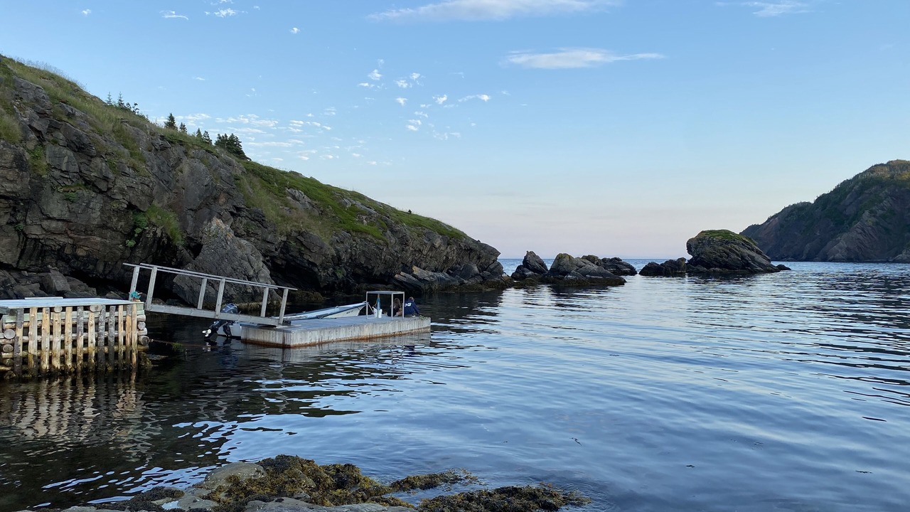 Photo of Others in Dunfield