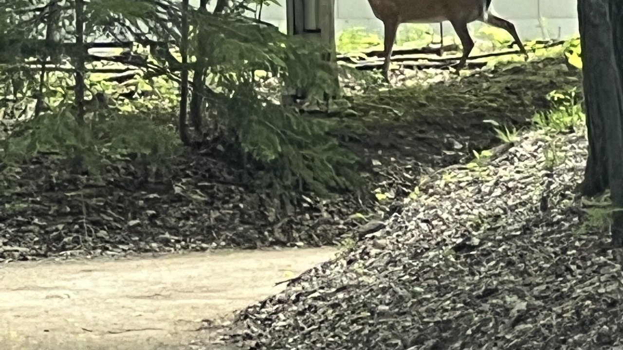Photo of Outdoor in North Dumfries