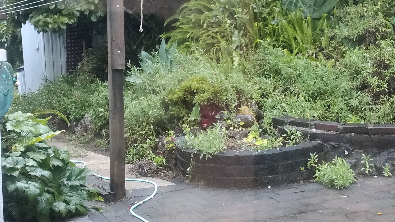 Photo of Outdoor in Tutukaka